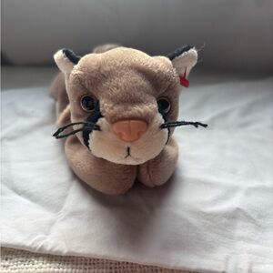 Ty Canyon Beanie Baby 1998 Retired NO HANG TAG